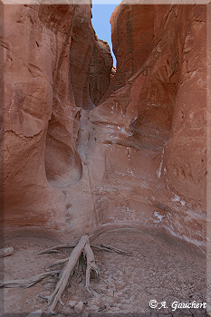 Eingang Peek-A-Boo
